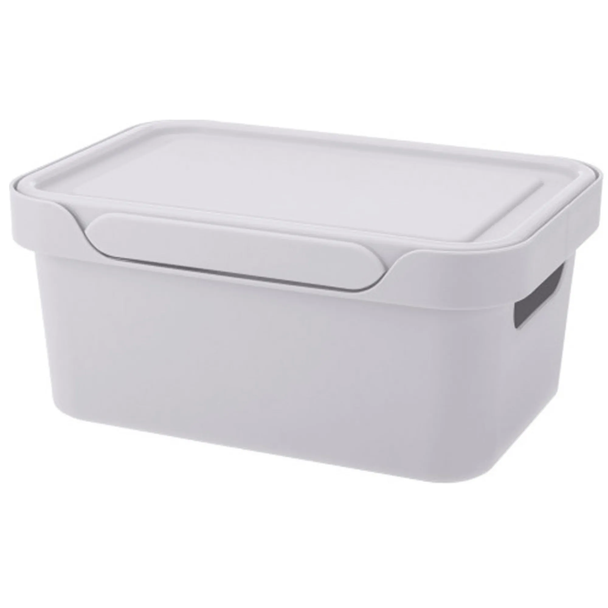 Ящик для хранения Luxe 270х190х120 4,6л с крышкой