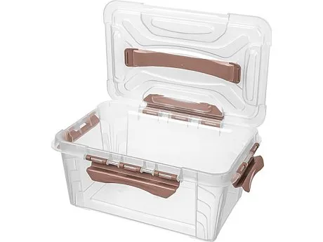 Ящик для хранения Grand box 290Х190Х124 4,2 л. с замками картинка