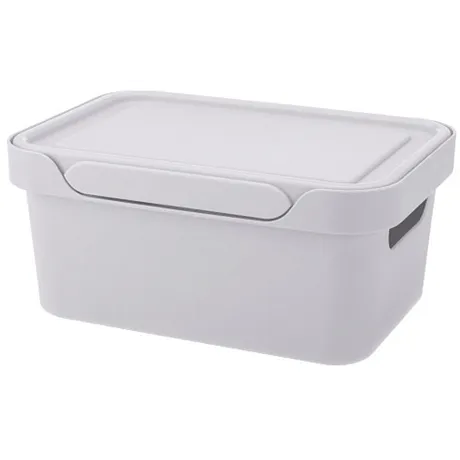 Ящик для хранения Luxe 270х190х120 4,6л с крышкой картинка