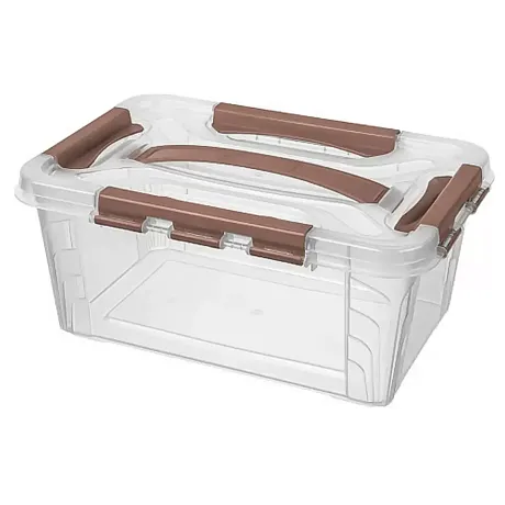 Ящик для хранения Grand box 290Х190Х124 4,2 л. с замками картинка