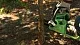 Цепная пила Greenworks G24CS25 25 см, 24 V превью