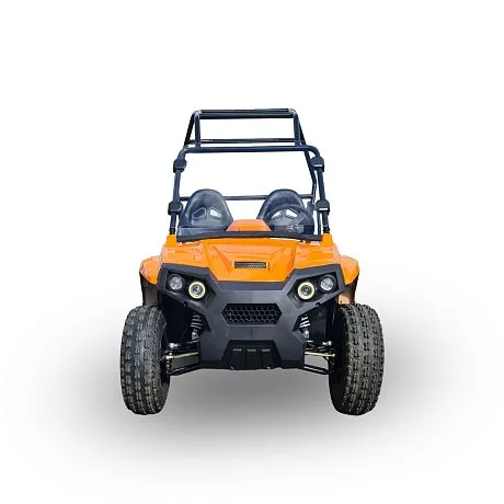 Электробагги SCANMOTO RAPTOR для взрослых картинка