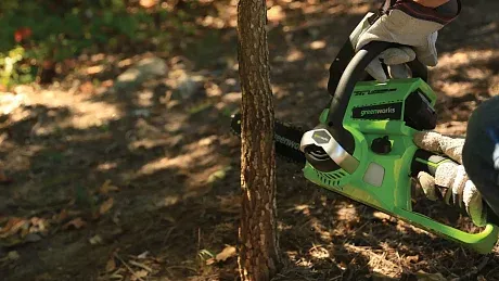 Цепная пила Greenworks G24CS25 25 см, 24 V картинка