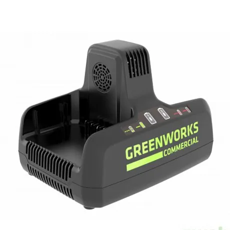 Зарядное устройство Greenworks G82C2 82V картинка