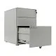 Тумба офисная металлическая NP-406 FL2 превью
