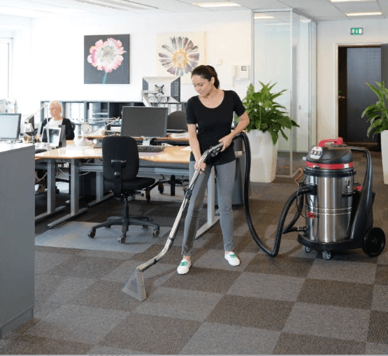 Ковровый экстрактор CAR275-EU 75L Viper