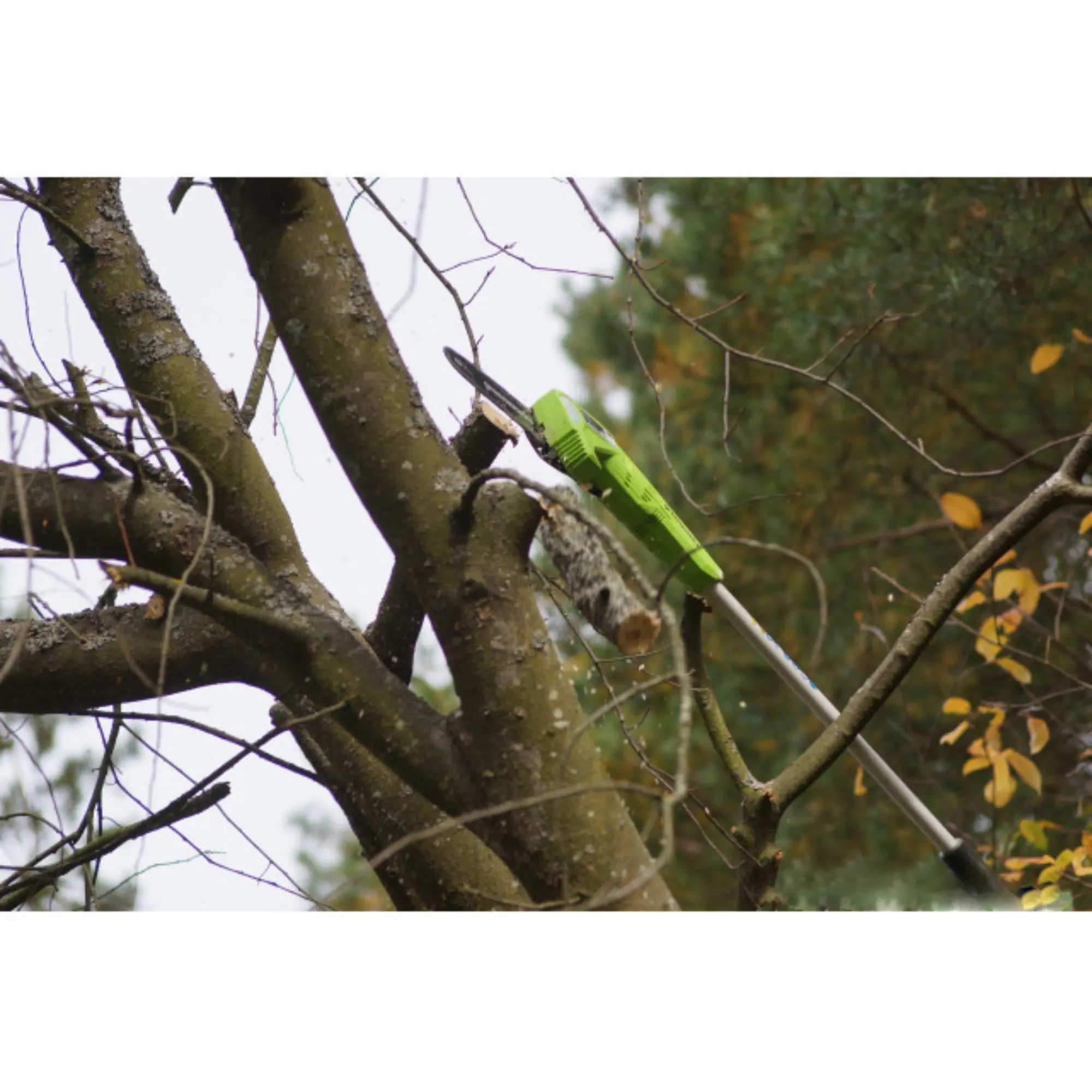 Высоторез-сучкорез аккумуляторный GreenWorks G40PSF, 40V, 20 см, без АКБ и ЗУ