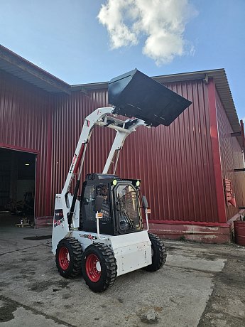 Мини-погрузчик с бортовым поворотом Beaver WS100 картинка