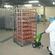 Электрический тягач MOVEXX T1000 б/м 1000 кг превью