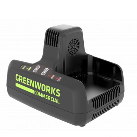 Зарядное устройство Greenworks G82C2 82V картинка