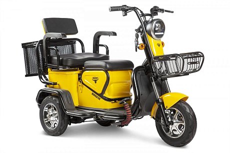 Электротрицикл Rutrike Навигатор картинка