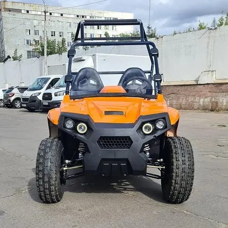 Электробагги SCANMOTO RAPTOR для взрослых картинка
