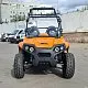 Электробагги SCANMOTO RAPTOR для взрослых превью