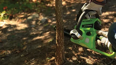 Цепная пила Greenworks G24CS25 25 см, 24 V картинка