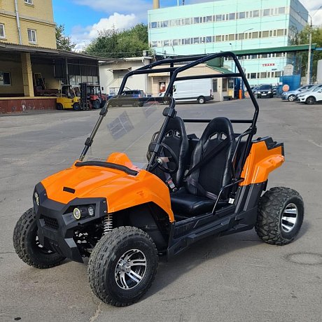 Электробагги SCANMOTO RAPTOR для взрослых картинка