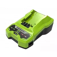 Зарядное устройство Greenworks G24C