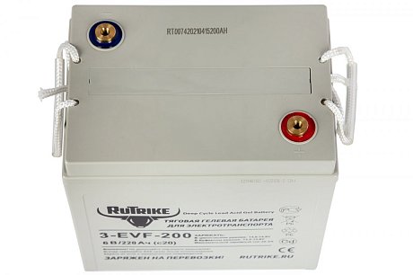 Тяговый гелевый аккумулятор RuTrike 3-EVF-200 картинка
